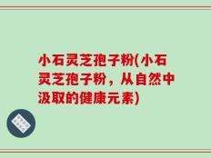 小石灵芝孢子粉(小石灵芝孢子粉，从自然中汲取的健康元素)