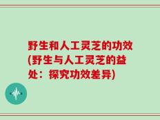 野生和人工灵芝的功效(野生与人工灵芝的益处：探究功效差异)