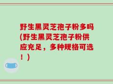 野生黑灵芝孢子粉多吗(野生黑灵芝孢子粉供应充足，多种规格可选！)