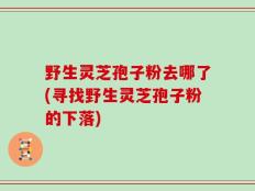 野生灵芝孢子粉去哪了(寻找野生灵芝孢子粉的下落)
