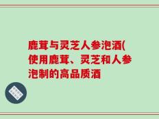 鹿茸与灵芝人参泡酒(使用鹿茸、灵芝和人参泡制的高品质酒