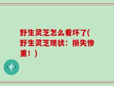 野生灵芝怎么看坏了(野生灵芝现状：损失惨重！)