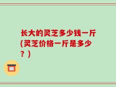 长大的灵芝多少钱一斤(灵芝价格一斤是多少？)