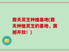 露天灵芝种植基地(露天种植灵芝的基地，震撼开放！)