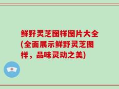 鲜野灵芝图样图片大全(全面展示鲜野灵芝图样，品味灵动之美)