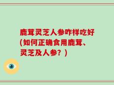 鹿茸灵芝人参咋样吃好(如何正确食用鹿茸、灵芝及人参？)