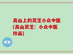 高山上的灵芝小众中医(高山灵芝：小众中医珍品)