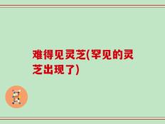 难得见灵芝(罕见的灵芝出现了)