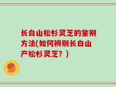 长白山松杉灵芝的鉴别方法(如何辨别长白山产松杉灵芝？)