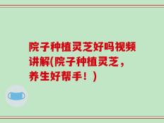 院子种植灵芝好吗视频讲解(院子种植灵芝，养生好帮手！)