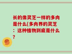长的像灵芝一样的多肉是什么(多肉界的灵芝：这种植物到底是什么？