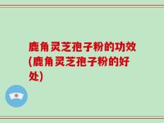 鹿角灵芝孢子粉的功效(鹿角灵芝孢子粉的好处)