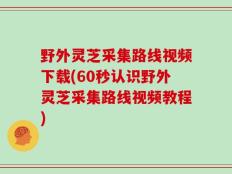 野外灵芝采集路线视频下载(60秒认识野外灵芝采集路线视频教程)