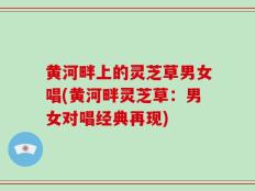 黄河畔上的灵芝草男女唱(黄河畔灵芝草：男女对唱经典再现)