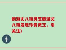 麟游丈八镇灵芝麟游丈八镇发现珍贵灵芝，引关注)
