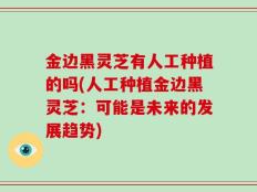 金边黑灵芝有人工种植的吗(人工种植金边黑灵芝：可能是未来的发展趋势)