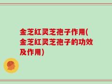 金芝红灵芝孢子作用(金芝红灵芝孢子的功效及作用)