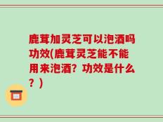 鹿茸加灵芝可以泡酒吗功效(鹿茸灵芝能不能用来泡酒？功效是什么？)