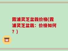霞浦灵芝盆栽价格(霞浦灵芝盆栽：价格如何？)