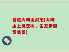 香港大屿山灵芝(大屿山上灵芝树，生态步道赏美景)