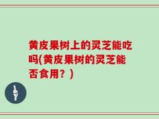 黄皮果树上的灵芝能吃吗(黄皮果树的灵芝能否食用？)