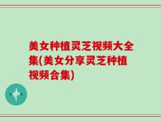 美女种植灵芝视频大全集(美女分享灵芝种植视频合集)