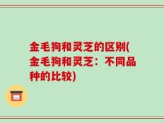金毛狗和灵芝的区别(金毛狗和灵芝：不同品种的比较)