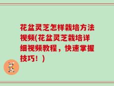 花盆灵芝怎样栽培方法视频(花盆灵芝栽培详细视频教程，快速掌握技巧！)