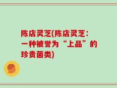 陈店灵芝(陈店灵芝：一种被誉为“上品”的珍贵菌类)