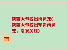 陕西大爷挖出肉灵芝(陕西大爷挖出珍贵肉灵芝，引发关注)