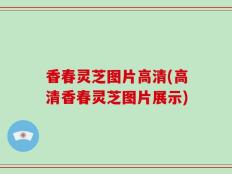 香春灵芝图片高清(高清香春灵芝图片展示)