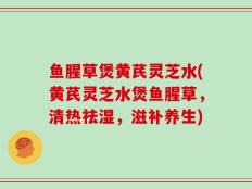 鱼腥草煲黄芪灵芝水(黄芪灵芝水煲鱼腥草，清热祛湿，滋补养生)