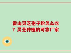 霍山灵芝孢子粉怎么吃？灵芝种植的可靠厂家