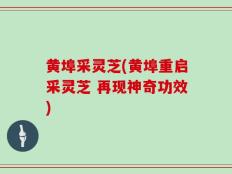 黄埠采灵芝(黄埠重启采灵芝 再现神奇功效)