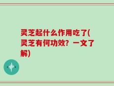 灵芝起什么作用吃了(灵芝有何功效？一文了解)
