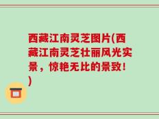 西藏江南灵芝图片(西藏江南灵芝壮丽风光实景，惊艳无比的景致！)