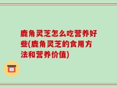 鹿角灵芝怎么吃营养好些(鹿角灵芝的食用方法和营养价值)