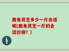 鹿角灵芝多少一斤合适呢(鹿角灵芝一斤的合适价格？)