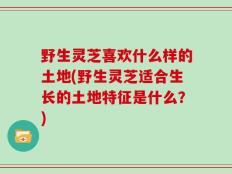 野生灵芝喜欢什么样的土地(野生灵芝适合生长的土地特征是什么？)