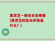 黑灵芝一般生长在哪里(黑灵芝的生长环境是什么？)