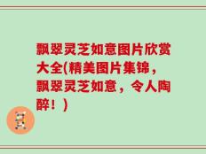 飘翠灵芝如意图片欣赏大全(精美图片集锦，飘翠灵芝如意，令人陶醉！)