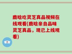 鹿晗吃灵芝真品视频在线观看(鹿晗亲自品味灵芝真品，现已上线观看)