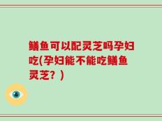 鳝鱼可以配灵芝吗孕妇吃(孕妇能不能吃鳝鱼灵芝？)