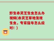 野生赤灵芝生虫怎么办视频(赤灵芝草地发现生虫，专家指导怎么应对！)