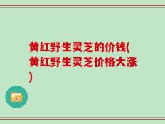 黄红野生灵芝的价钱(黄红野生灵芝价格大涨)