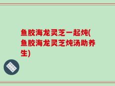 鱼胶海龙灵芝一起炖(鱼胶海龙灵芝炖汤助养生)