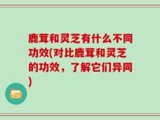 鹿茸和灵芝有什么不同功效(对比鹿茸和灵芝的功效，了解它们异同)