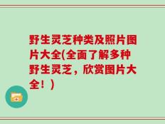 野生灵芝种类及照片图片大全(全面了解多种野生灵芝，欣赏图片大全！)