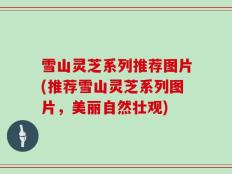 雪山灵芝系列推荐图片(推荐雪山灵芝系列图片，美丽自然壮观)