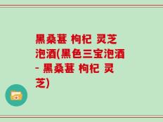 黑桑葚 枸杞 灵芝 泡酒(黑色三宝泡酒 - 黑桑葚 枸杞 灵芝)